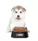 Умная миска для животных Pawbby Smart Pet Bowl (MG-ZN001)